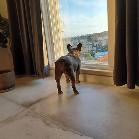 Apartment Eni ドゥブロブニク エクステリア 写真