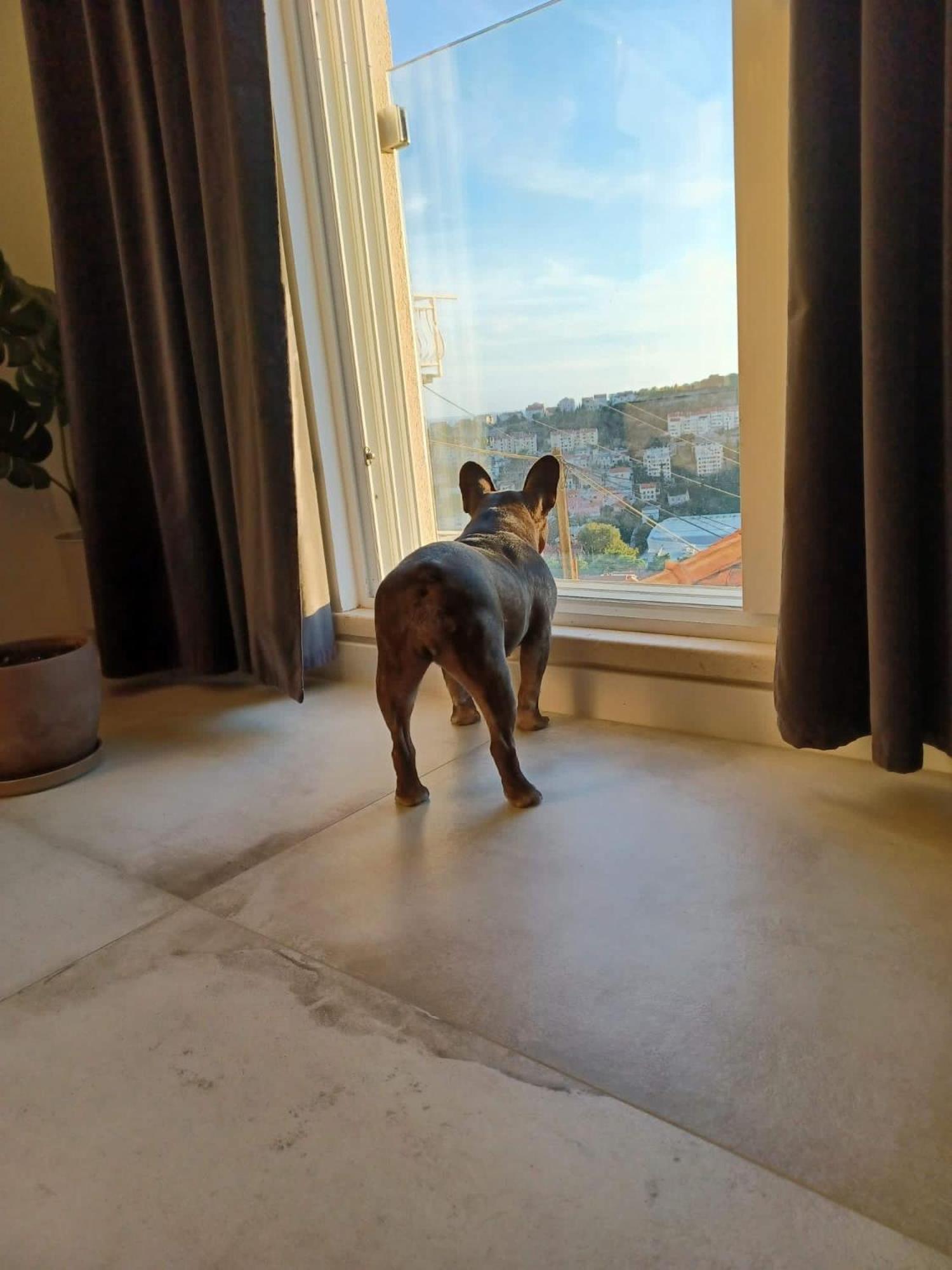 Apartment Eni ドゥブロブニク エクステリア 写真